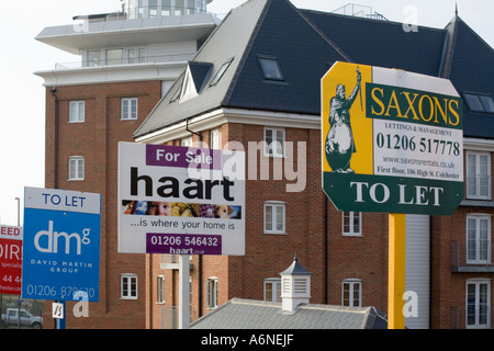 Righe di in affitto e in vendita segni in Colchester Essex al di fuori di un blocco di appartamenti Foto Stock