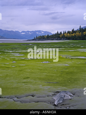Turnagain braccio del Cook Inlet marea appartamenti vicino a speranza Alaska USA con Chugach Mountains in distanza Foto Stock