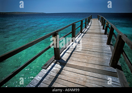 Acque turchesi off Pulau Menjangan un popolare punto di immersione e la parte di Bali Barat National Park Jetty di Waka Shorea Indonesia Foto Stock