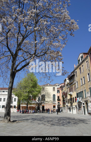 Venezia Italia Campo San Polo square a molla con albero Fiore Venezia Italia Foto Stock