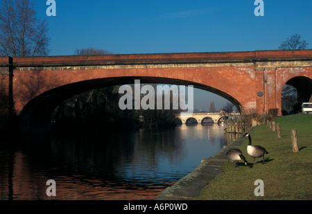 Strada ponte a pedaggio e Brunel ferroviaria del ponte sul Fiume Tamigi Maidenhead Berkshire Inghilterra Foto Stock