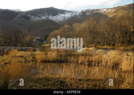 Fiume Derwent e villaggio di Grange in Borrowdale nel Lake District inglese Foto Stock