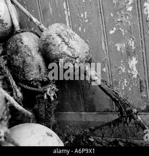 Scartati vecchi pescatori s attrezzature sul harbourside in Newquay Cornwall Regno Unito Foto Stock