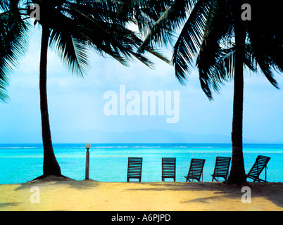 Cielo azzurro e limpido mare con vista attraverso le palme e la linea di sedie a sdraio sulla spiaggia IN THAILANDIA Foto Stock