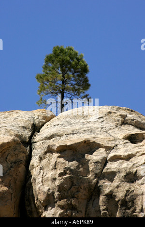 El Morro arenaria Bluff, El Morro monumento nazionale, Nuovo Messico, STATI UNITI D'AMERICA Foto Stock