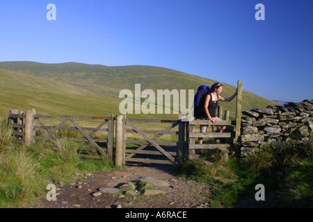 Inghilterra Cumbria Parco Nazionale del Distretto dei Laghi una femmina di un escursionista si arrampica su un montante verticale sulla via vicino Lonscale cadde Foto Stock