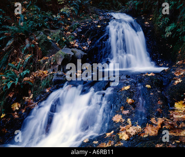 Foglie di autunno cadono su una cascata cascading su rocky streambed sulle pendici del monte Hood in Oregon Foto Stock