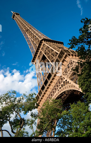 Torre Eiffel tra alberi e fogliame Parigi Francia Europa Foto Stock