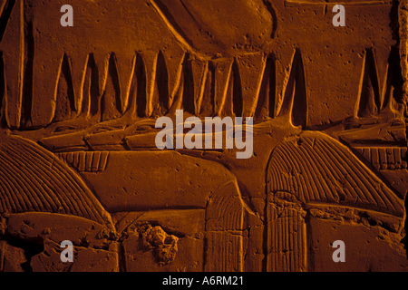 Egitto, immagini multiple di Anubis, SW di Ramesse II rilievi, Tempio di Karnak Foto Stock