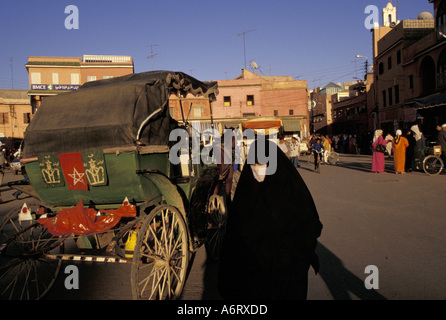 Africa, Marocco, Taroudant, donna musulmana velata e caleche (carrozza trainata da cavalli) nel luogo al-Alaouyane Foto Stock