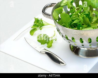 Il crescione in scolapasta Foto Stock