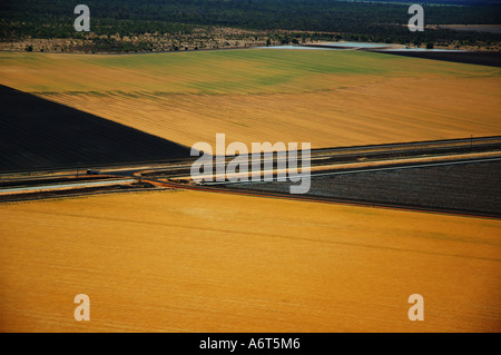 Campo di grano centrale di Queensland in Australia Foto Stock