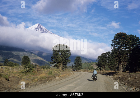 Spedizione femminile touring ciclista su terreni accidentati ripio strada in Argentina con nevoso vulcano Lanin in background e alberi Araucari Foto Stock