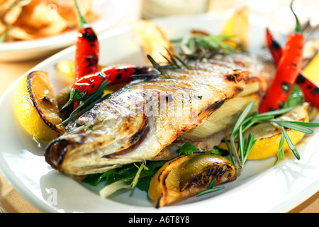 Appena pescato cotto Spigola servito con arrosti di carne rossa chilis lime il rosmarino e il timo è servita su un piatto di forma ovale Foto Stock