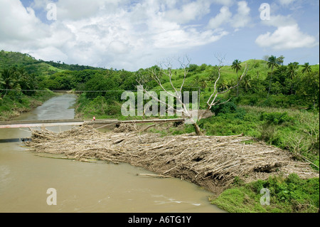 Legno lavato a valle dalle acque di esondazione e impilate contro un ponte sul fiume io vicino a Nadi, Isole Figi Foto Stock