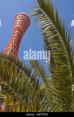 Giappone Central Honshu Kansai porto di Kobe Meriken Park la torre di porto visto con Palm tree in frgd Foto Stock