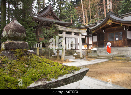 Giappone Honshu centrale quartiere di Hida Takayama Sakurayama Nikko kan cortile del tempio con edifici del tempio e sacerdote femmina wearin Foto Stock