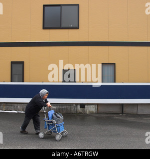 Giappone Honshu centrale quartiere di Hida Takayama donna anziana spingendo un caddy in strada con il tetro cercando facciata in bkgd Foto Stock