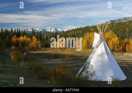 Tende tepee, cadono foresta, Herbst-Wald in den Montagne Rocciose, David Thompson paese, montagne rocciose, Alberta, Canada Foto Stock