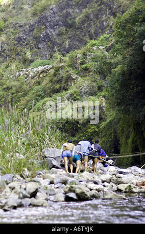 Cina fiume Yangtze forti muscoli e sinewy gambe di battellieri peapod come essi ceppo contro le corde per estrarre il segnale di PEA barche Foto Stock