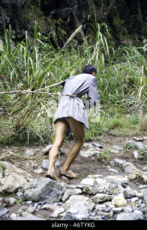 Cina fiume Yangtze forti muscoli e senewy gambe di un barcaiolo peapod come egli ceppi contro le corde per estrarre il segnale di PEA barche Foto Stock