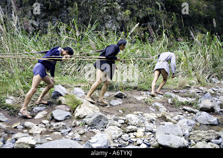 Cina fiume Yangtze forti muscoli e senewy gambe di quattro battellieri peapod come essi ceppo contro le corde per estrarre il segnale di PEA barche Foto Stock