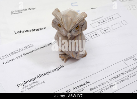 Gli studi universitari Foto Stock