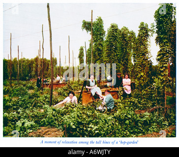 Raccoglitrici di luppolo a riposo degli anni Trenta foto a colori di una interruzione del lavoro tra i bines in un Kentish hop garden Foto Stock