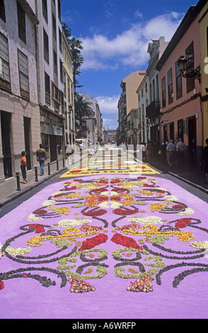 La Laguna di Sabbia Vulcanica tappeti in Calle Rey Redondo, Tenerife. Le Isole Canarie, Spagna. Foto Stock