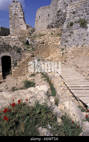 Siria, Masyaf Sede Castello di Ismaeli islamica setta Foto Stock