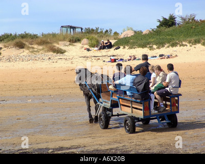 Francia Bretagna finisterre carantec causeway a ille callot turisti sul cavallo e carrello Foto Stock