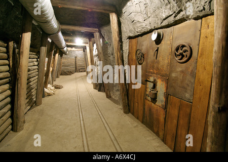 Re-created diamond mining tunnels at the Kimberley Open Mine Museum in Kimberley in South Africa's North West Province. Foto Stock
