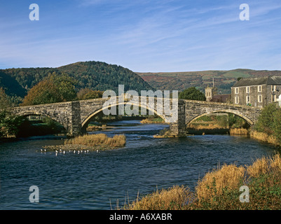 LLANRWST CONWY North Wales UK il 15thc Pont Fawr attraverso il Fiume Conwy Foto Stock