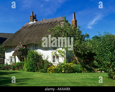 BOSHAM WEST SUSSEX REGNO UNITO Giugno piuttosto bianco lavato cottage con tetto in paglia in questo grazioso borgo Foto Stock