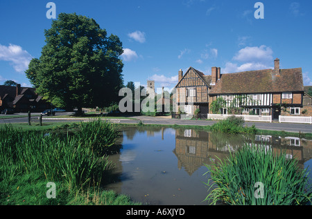 Aldbury Hertfordshire Duck Pond con la Manor House e il vecchio villaggio di scorte Foto Stock