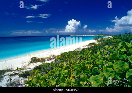 La spiaggia incontaminata sulla concezione Island, Long Island, Bahamas. Foto Stock