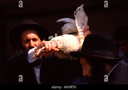 Ebreo ortodosso eseguire 'Kapparot' rituale alla vigilia di Yom Kippur in cui una persona onde un pollo circa il suo o la sua testa. Mea Shearim Gerusalemme Israele Foto Stock