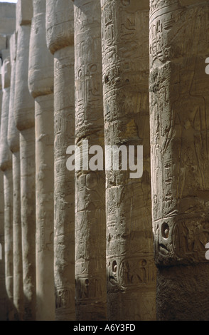 I geroglifici scolpiti in pilastri nella grande Hypostyle Hall del distretto di Amon, Tempio di Karnak Luxor Egitto Foto Stock