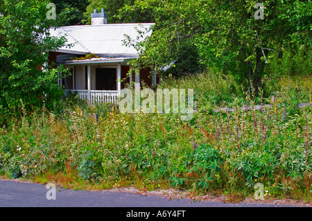 In stile tradizionale in legno svedese casa dipinta. Unkempt sovradimensionate giardino. Smaland regione. La Svezia, l'Europa. Foto Stock