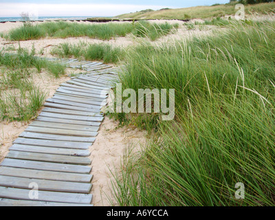 Scheda di spiaggia a piedi sul Lago Michigan STATI UNITI Foto Stock