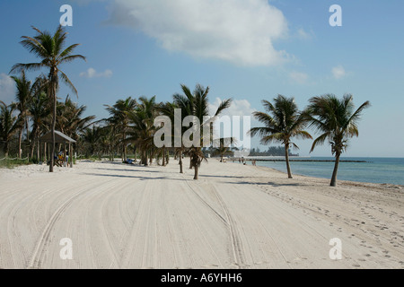 Florida Keys vista incredibile infinito infinito strada acqua vasto lungomare spiaggia mare America Americhe spiagge Spiaggia di Costa Foto Stock