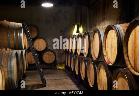 Domaine clos Marie. Pic St Loup. Languedoc. Canna cantina. La Francia. L'Europa. Foto Stock