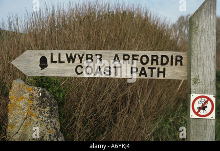 Llwybr arfordir percorso costa Pembrokeshire Sir Benfro è una contea nel sud-ovest del Galles nel Regno Unito. Foto Stock