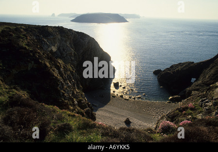 Pembrokeshire Sir Benfro è una contea nel sud-ovest del Galles nel Regno Unito. Foto Stock