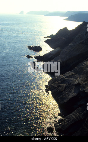 Pembrokeshire Sir Benfro è una contea nel sud-ovest del Galles nel Regno Unito. Foto Stock