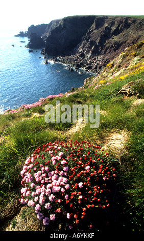 Pembrokeshire Sir Benfro è una contea nel sud-ovest del Galles nel Regno Unito. Foto Stock