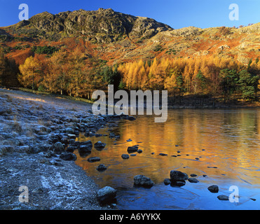 Il coperto di brina massi a Riva del Blea Tarn portano lo sguardo verso il fells oltre bagnata di prima mattina inverno sunlig Foto Stock