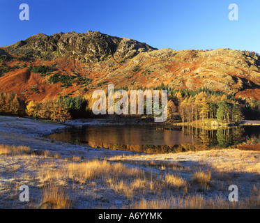 Blea Tarn su un gelido inverno del mattino della Cumbria Inghilterra England Foto Stock