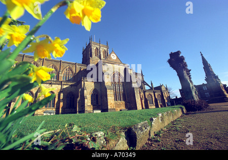 Sherborne Abbey in Dorset Foto Stock
