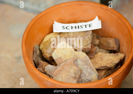 Impianto pot con campione di suolo che illustrano diversi tipi di suolo, parte di una serie: scisto di scisto Chateau Villerambert-Julien vicino Caunes-Minervois. Minervois. Languedoc. Il terroir del suolo. La Francia. L'Europa. Lo scisto è il terreno di ardesia. Foto Stock